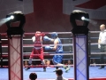 Totems | Boxing Tournament | Military | Pulse Roadshow